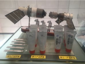 從遠(yuǎn)渡重洋到回鄉(xiāng)筑巢 僑資回流助力發(fā)展的新篇章