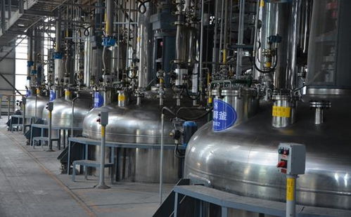 山東凱威爾精益運(yùn)營(yíng)管理體系KPS II期圓滿結(jié)案 投資咨詢視角下的卓越轉(zhuǎn)型